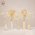 plumes séchées naturelles queue lapin décoration maison fêtes anniversaires mariage bohème rustic beige clair