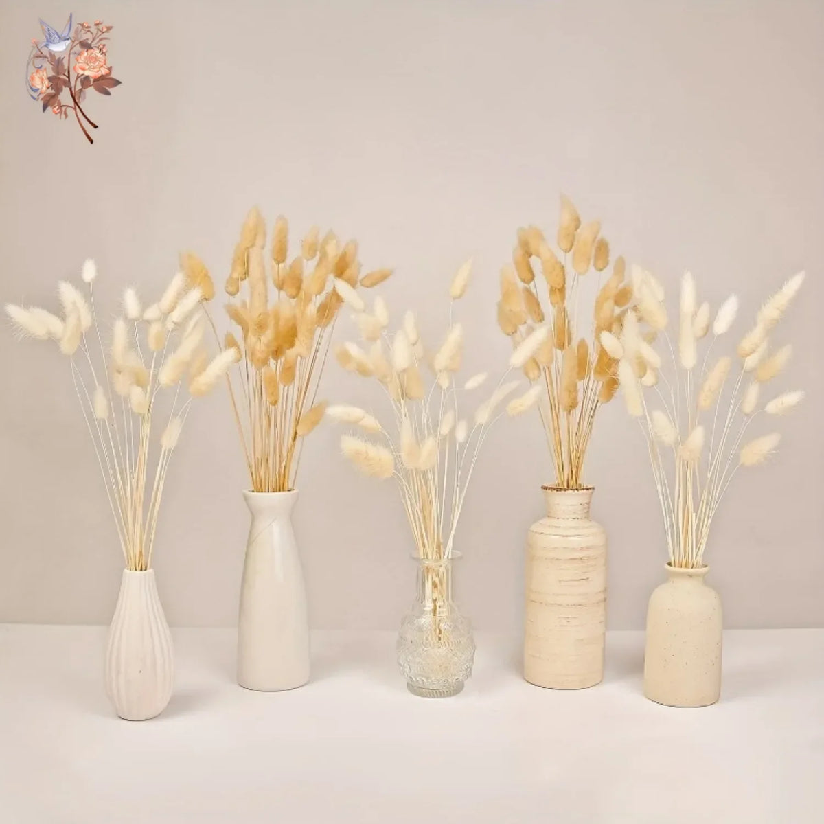 plumes séchées naturelles queue lapin décoration maison fêtes anniversaires mariage bohème rustic beige clair