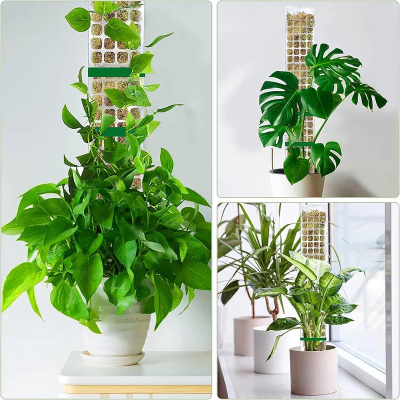 poteau mousse plastique transparent moderne 24 pouces adhésif support plante grimpanteintérieur