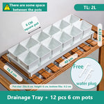 lot pot succulentes plastique blanc moderne trous drainage aération plantes maison