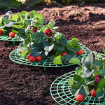 support plantes plastique vert grille rond utilitaire balcon pot fleur 8cm 12cm 18cm 30cm