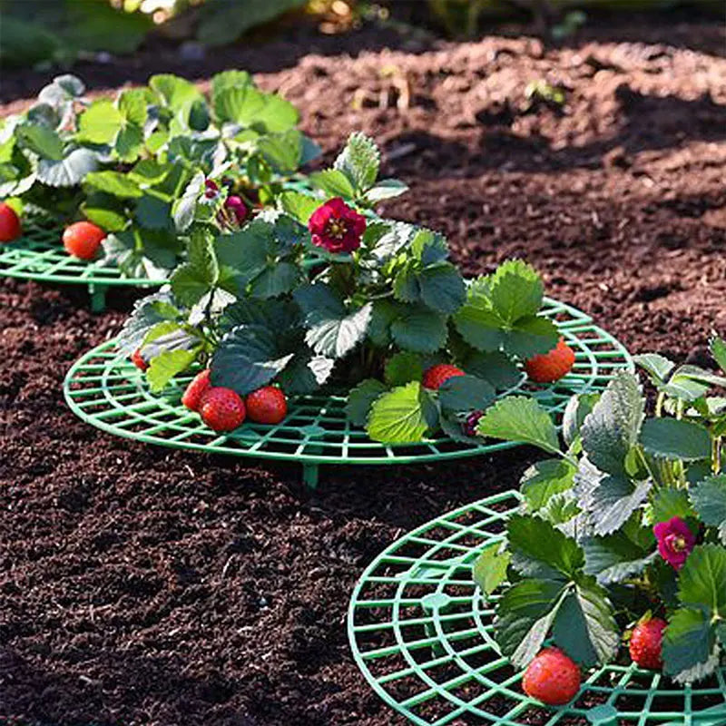 support plantes plastique vert grille rond utilitaire balcon pot fleur 8cm 12cm 18cm 30cm
