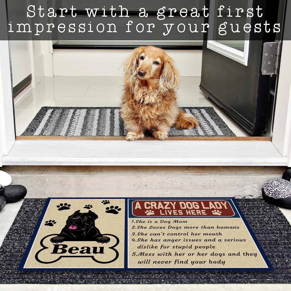 tapis d'entrée antidérapant moderne motif chien rayures horizontales texte imprimé résistant bactéries