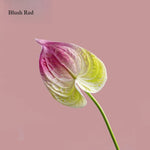 fleurs artificielles modernes rouge blanc vert 62CM extérieur anniversaire décoration maison