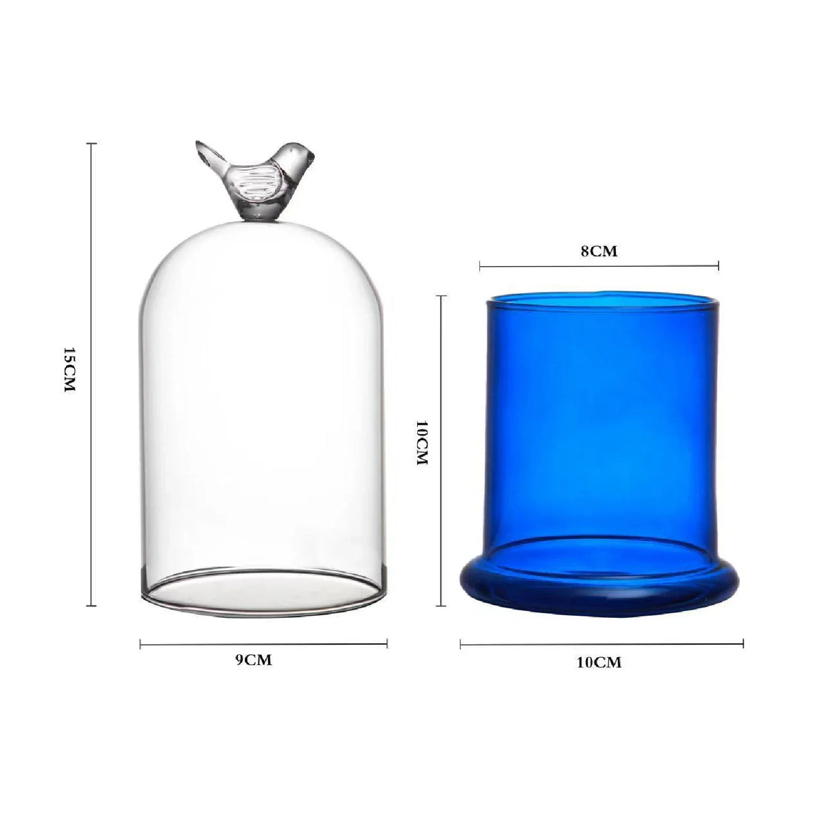 cloche verre transparente décoration maison moderne oiseau décoratif petit grand