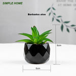 plantes artificielles bonsaï vertes modernes pot poterie décoration intérieure extérieure jardin