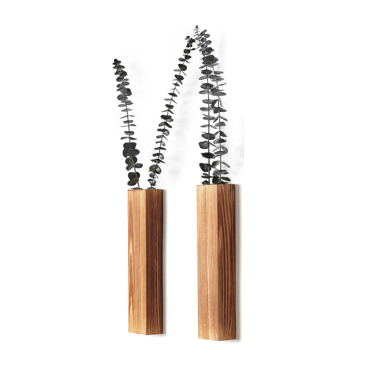vases muraux bois clair minimaliste eucalyptus roses séchées plante décoration intérieure vert foncé rustic