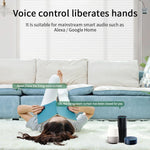 module rideau intelligent wifi rf blanc commande vocale programmation timer deux télécommandes smartphone moderne