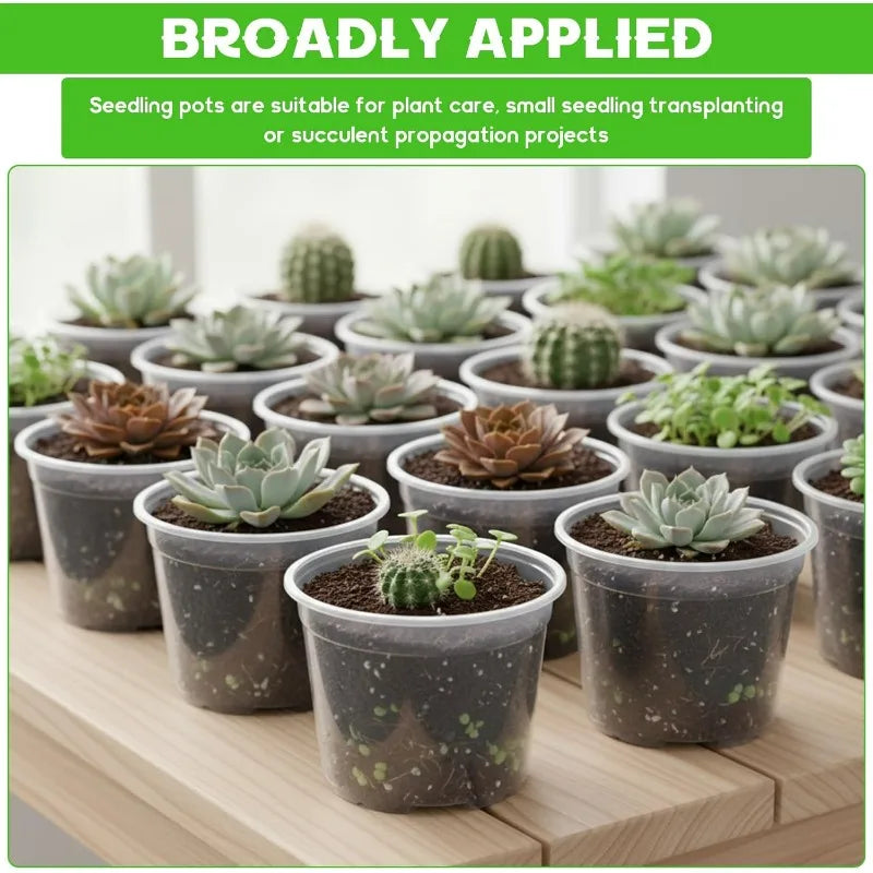 pots fleurs transparents modernes drainage holes ensemble plantes herbes cactus