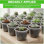 pots fleurs transparents modernes drainage holes ensemble plantes herbes cactus