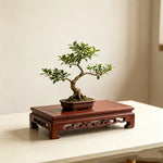 présentoir bois sculpté marron motifs complexes reliefs plantes bonsaï vases fleurs théière tasses déco