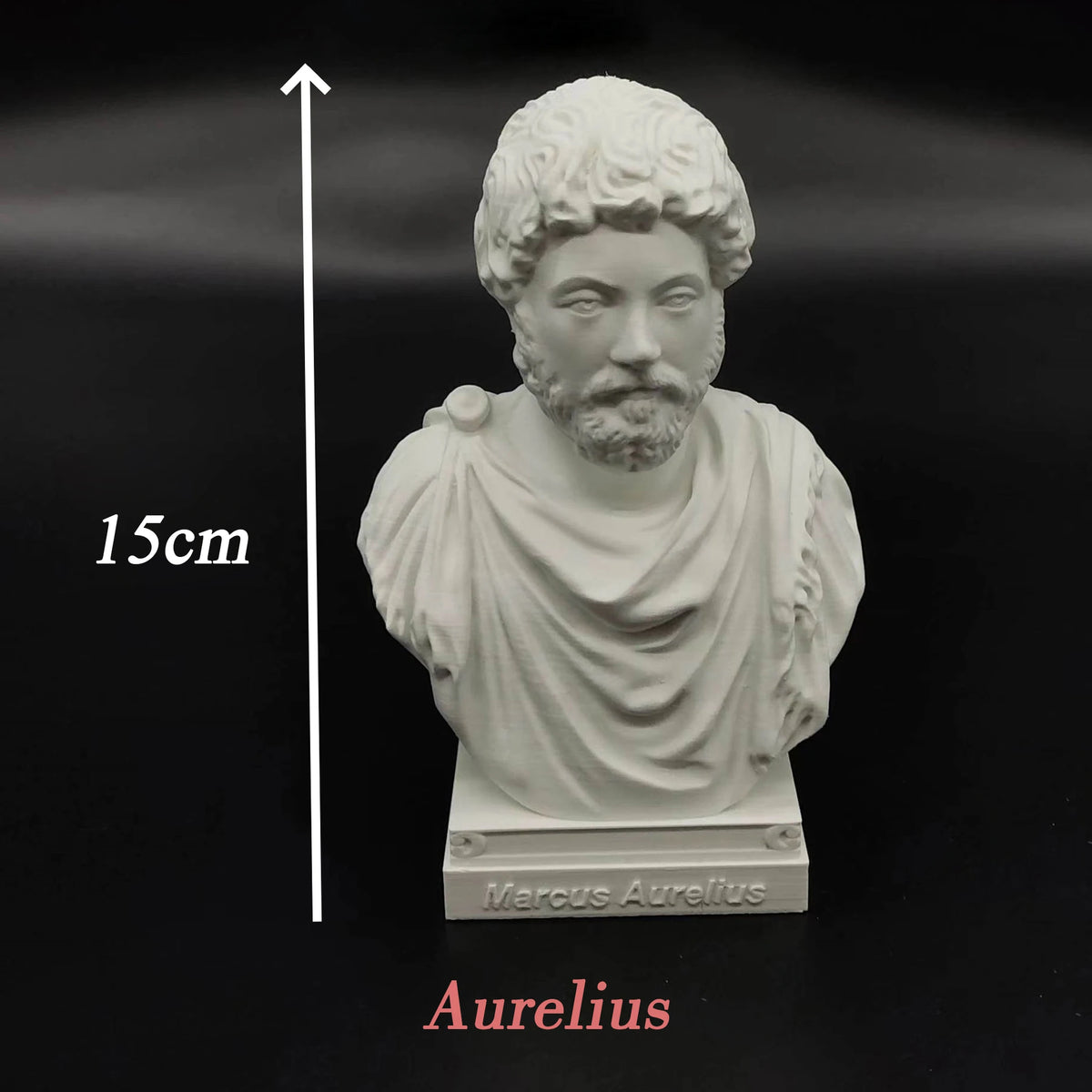statues romaines antiques blanc bustes historiques détails classiques socle carré blanc