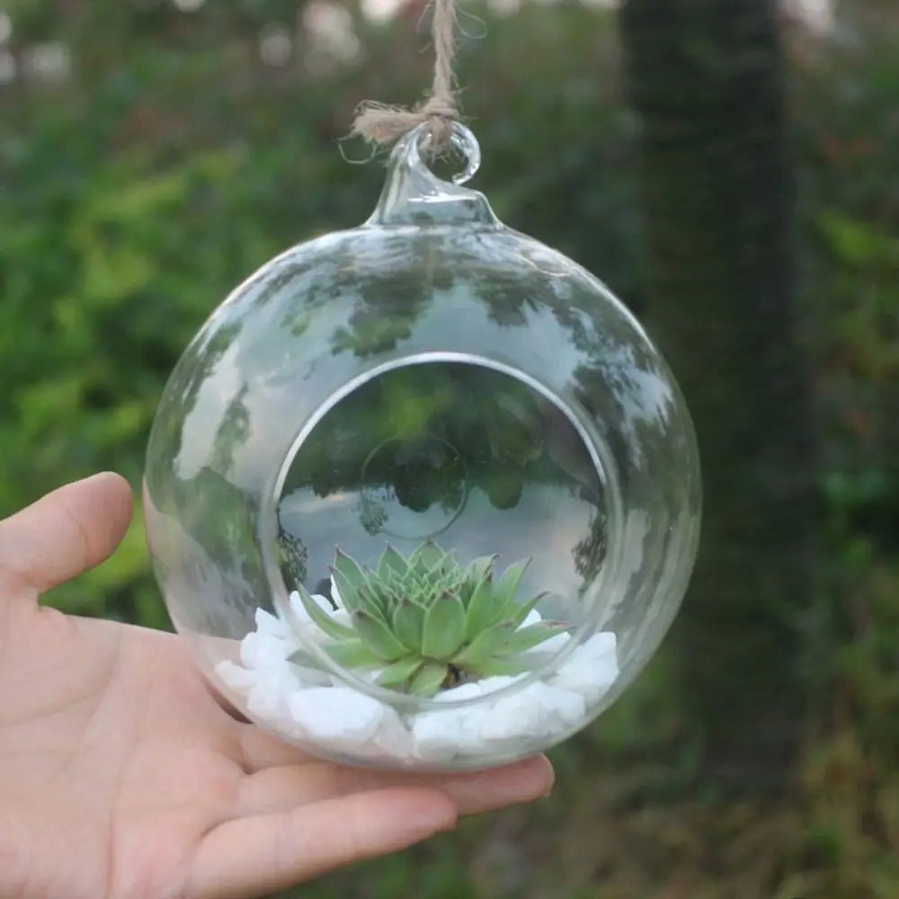 terrariums suspendus transparents verre moderne plante succulente galets blancs 10 12 15 cm
