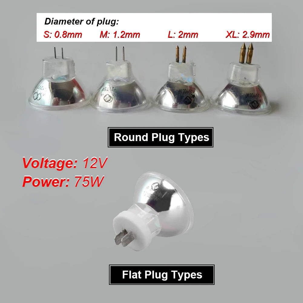 ampoule halogène dentaire 12V 75W transparente base G5.3 4.8 plug plat rond moderne soins
