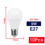 lot 10 ampoules led boule opalescent blanc chaud froid culot e27 e14