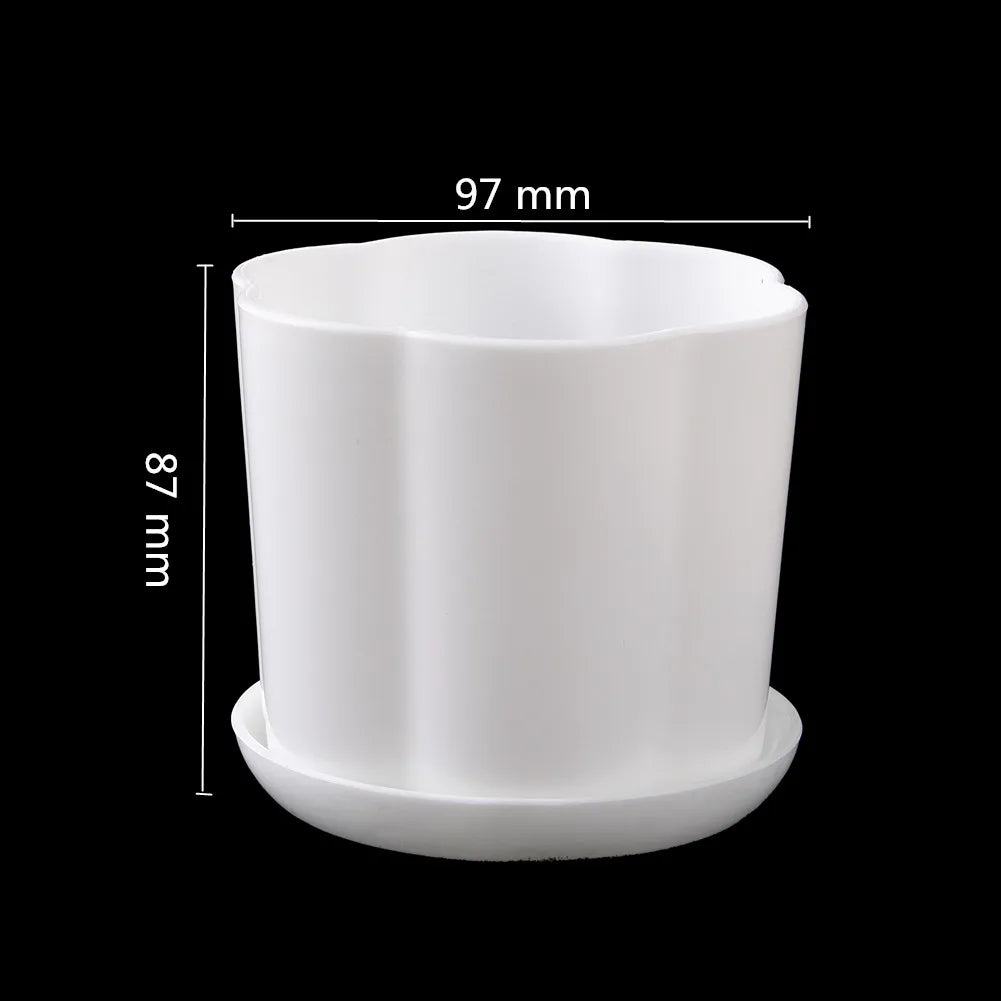 pot fleurs blanc moderne plateau succulentes bonsaï plastique