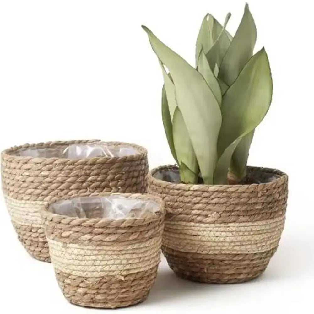 paniers tissés main rustiques différents naturel beige clair intérieur extérieur