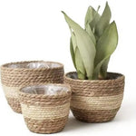 paniers tissés main rustiques différents naturel beige clair intérieur extérieur