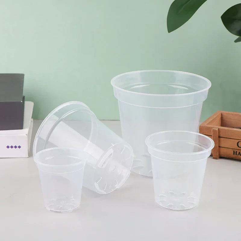Pots semis transparents trou drainage moderne pratique couvercle