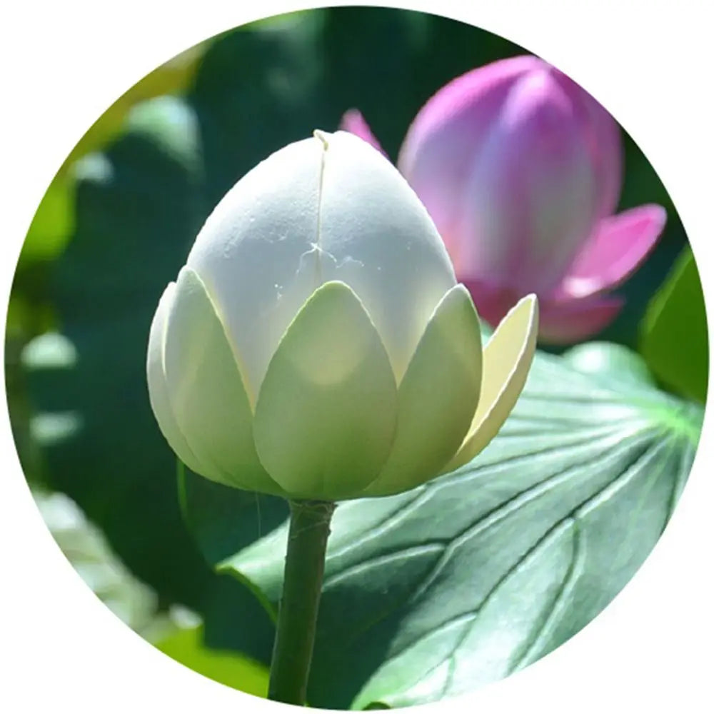 fleur lotus artificielle rose blanche décoration intérieure réaliste feuilles ovales pétales relief base circulaire