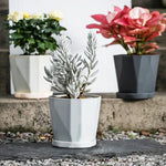 Pots fleurs modernes pots plastique facettes géométriques gris blanc plateau amovibleintérieurextérieur