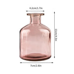 vase verre transparent moderne rose décoration intérieur hydroponique fleuri table studio