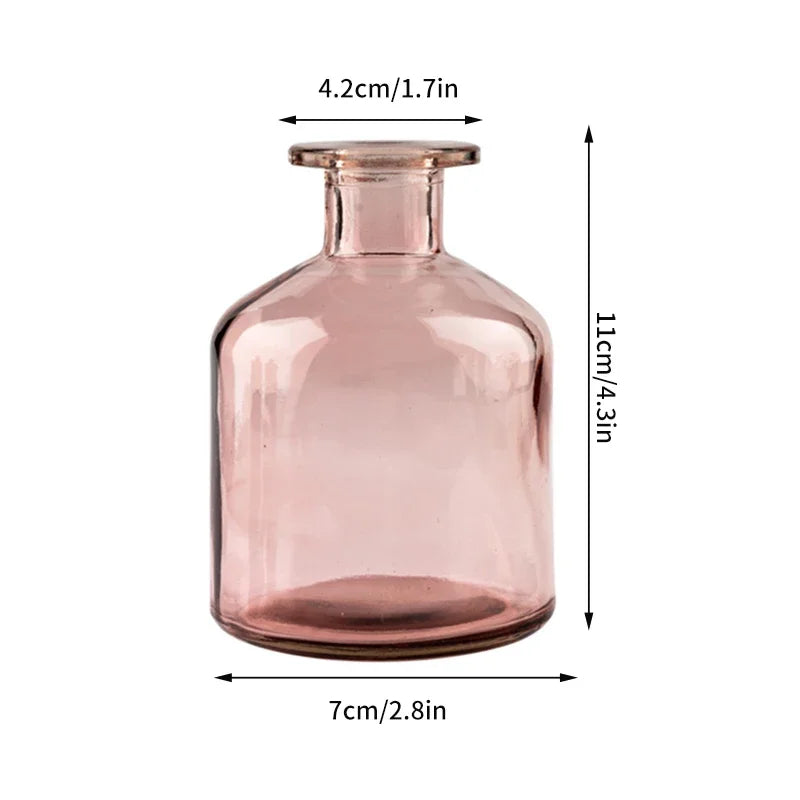 vase verre transparent moderne rose décoration intérieur hydroponique fleuri table studio