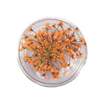 décorations nail art fleurs séchées violet rose vert rouge orange blanc naturel strass ongles