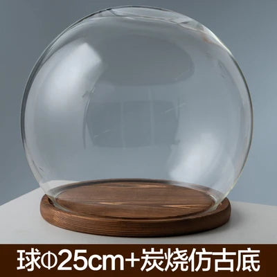 boule verre transparent socle bois décoration d'intérieur moderne objet d'exposition moderne