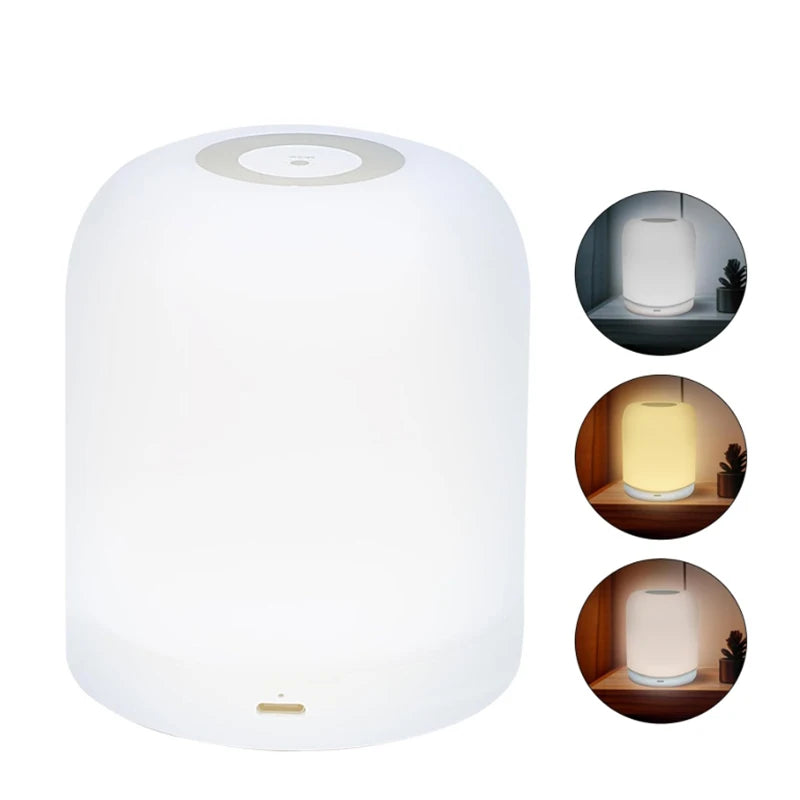 lampe chevet tactile rechargeable blanc moderne flux lumineux variable interrupteur usb