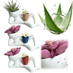 pots fleurs décoratifs résine visage souriant moderne succulente aloe vera blanche rouge beige