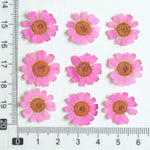 fleurs séchées multicolores bijoux résine décoration ongles maison intérieure artisanal anniversaire naturelles