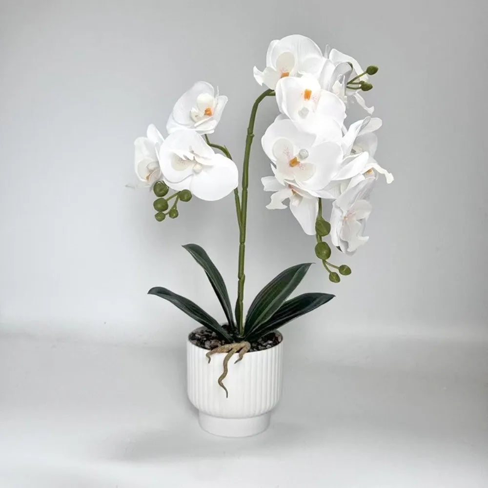 décoration intérieure orchidées artificielles fleurs douces rose blanc pot blanc gravier moderne élégant accroché