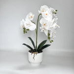 décoration intérieure orchidées artificielles fleurs douces rose blanc pot blanc gravier moderne élégant accroché
