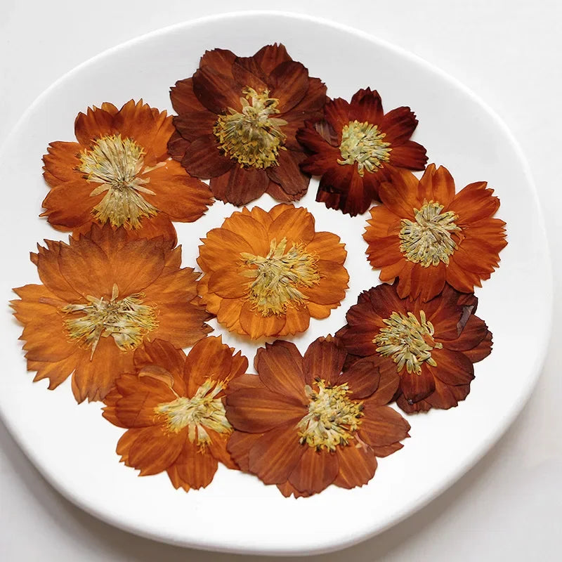 fleurs séchées chrysanthèmes orange rouge brun décoration naturelle vintage anniversaire baby shower