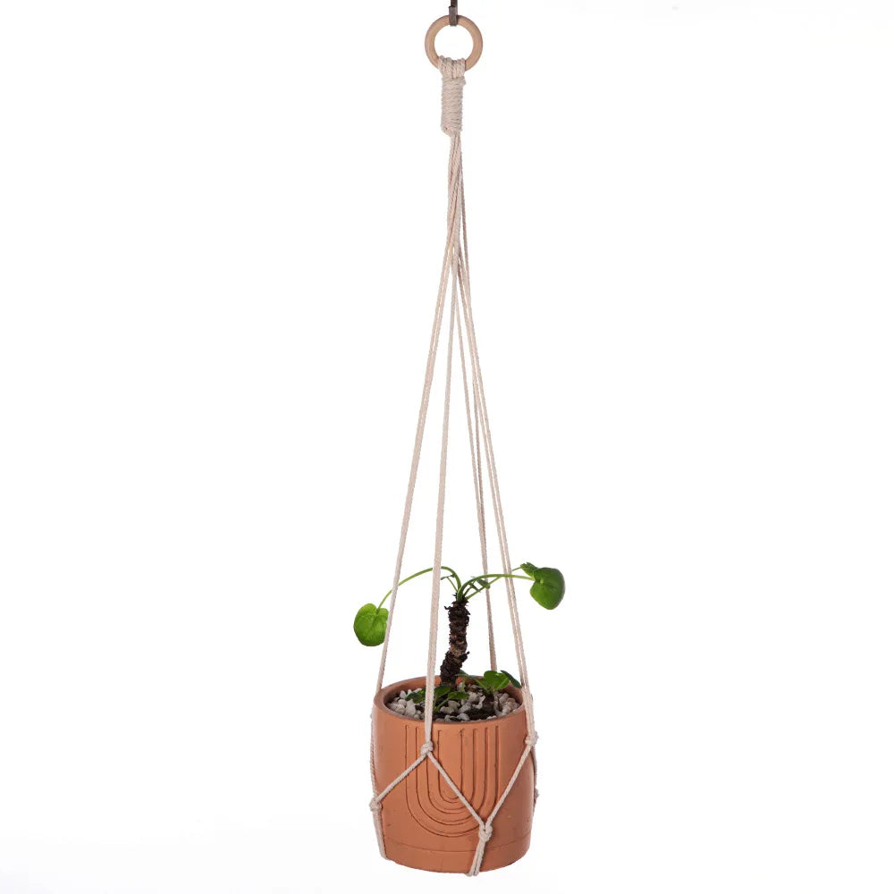 supports plante suspendus macramé boho anneaux suspension pots verts artisanaux
