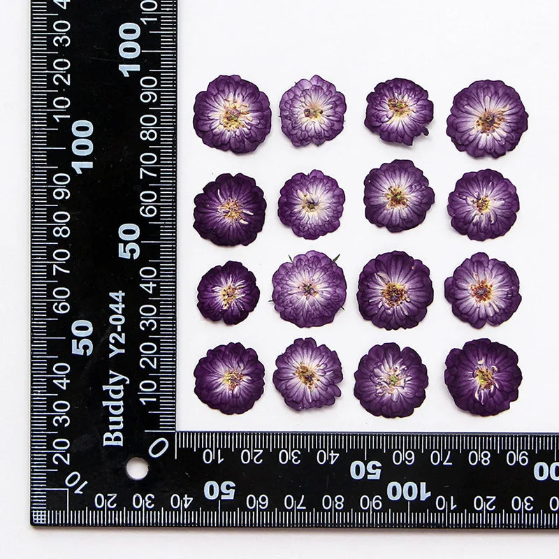 fleurs séchées violettes petals dorés décoration maison anniversaire baby shower naturelle artificielle