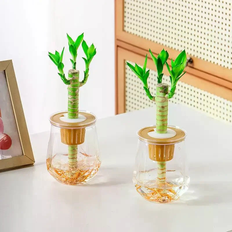plante artificielle verte moderne pot transparent adhésif base plastique minimalisteintérieur décoration