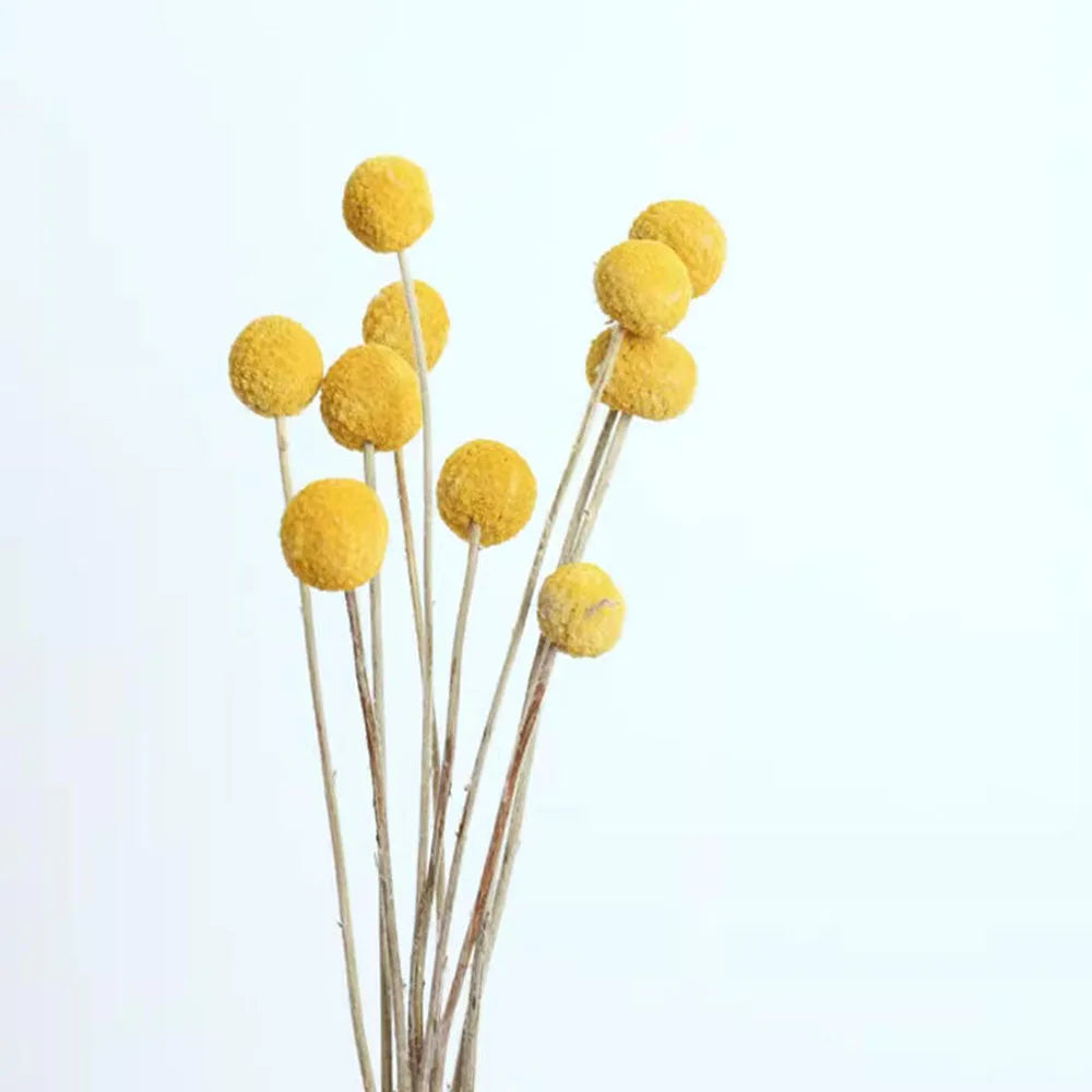 bouquet fleurs séchées boule dorée gypsophile eucalyptus feuilles naturel rustique décoration maison anniversaire wedding