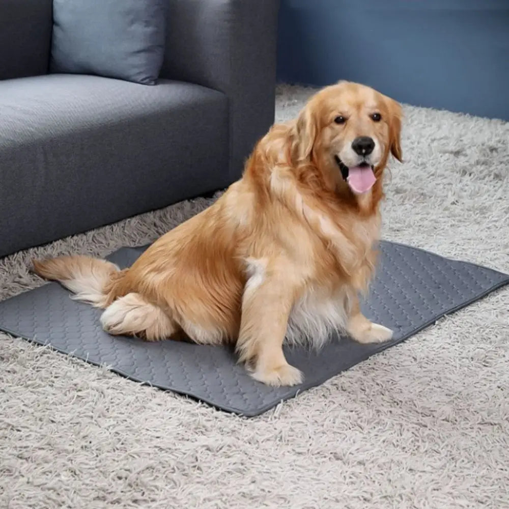 tapis absorbant lavable coton géométrique noir gris moderne petit animal compagnie urinoir
