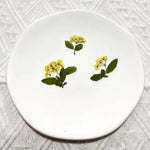fleurs séchées bouquet blanc vert feuilles naturelles décoration artisanale intérieur anniversaire rustique