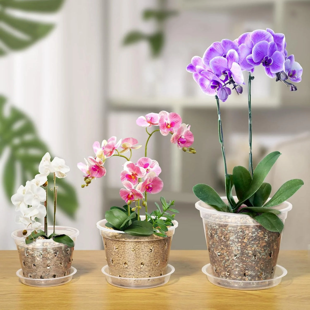 Pots fleurs transparents perforés moderne 11cm 12.5cm 14cm 15cm 17cm 5pcs