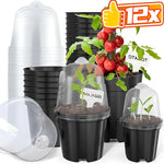 pots semis transparents noirs pratiques jardinage plantes croissance tablette étiquettes