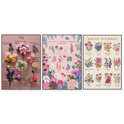 affiche botanique tableaux floral illustration vintage fleurs couleur rose beige verte Jaune