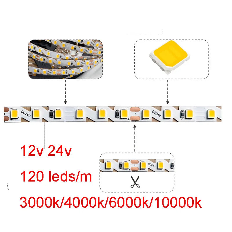 ruban led blanc 3000k 4000k 6000k 10000k 12v 24v 120leds/m adhésif moderne fixe connecteurs