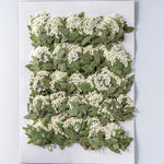 fleurs séchées bouquet blanc vert feuilles naturelles décoration artisanale intérieur anniversaire rustique