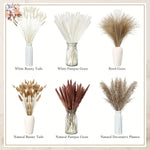 fleurs sèches plumes herbes naturelles décoration maison anniversaire mariage vases élégantes blanc marron fluffy