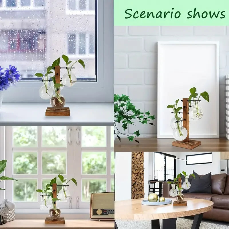 support plantes verre transparent bois marron clair minimaliste moderne racines apparentes contemporain decoration