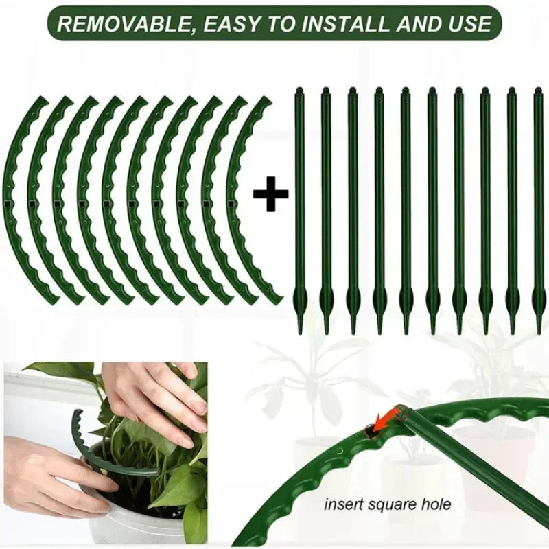 support plante plastique vert foncé moderne 12 pièces tiges fixations jardin fleurs