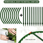 support plante plastique vert foncé moderne 12 pièces tiges fixations jardin fleurs